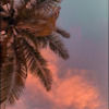 sunsetz246